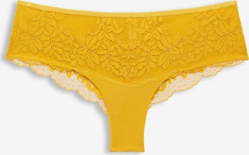 ESPRIT Panty in Gelb: predná strana
