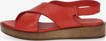 Sandalo di CAPRICE in rosso
