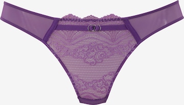 LASCANA Tangice | vijolična barva: sprednja stran