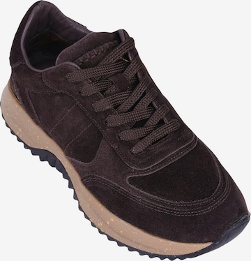 Desa - Zapatillas deportivas bajas en marrón: frente