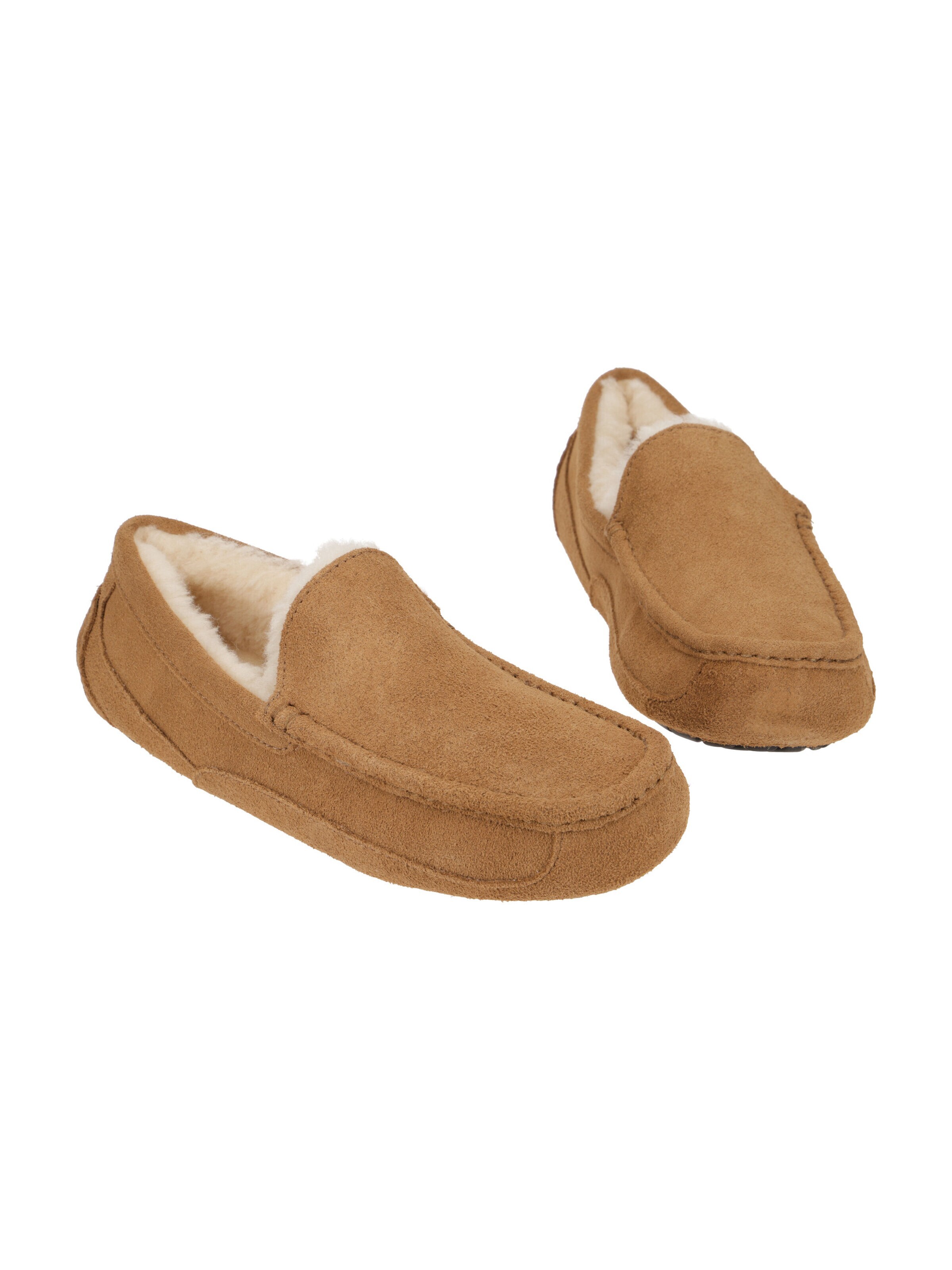 UGG Slipper 'Ascot 1101110'‌‌‌‌‌‌ in Braun