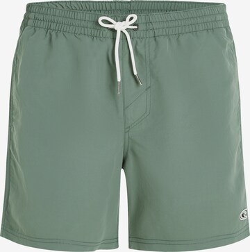 O'NEILL Board Shorts in Green: front