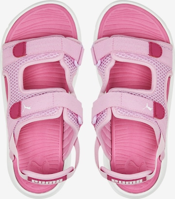 PUMA Sandale 'Evolve' in Pink