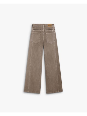 Scalpers Regularen Hlače | rjava barva