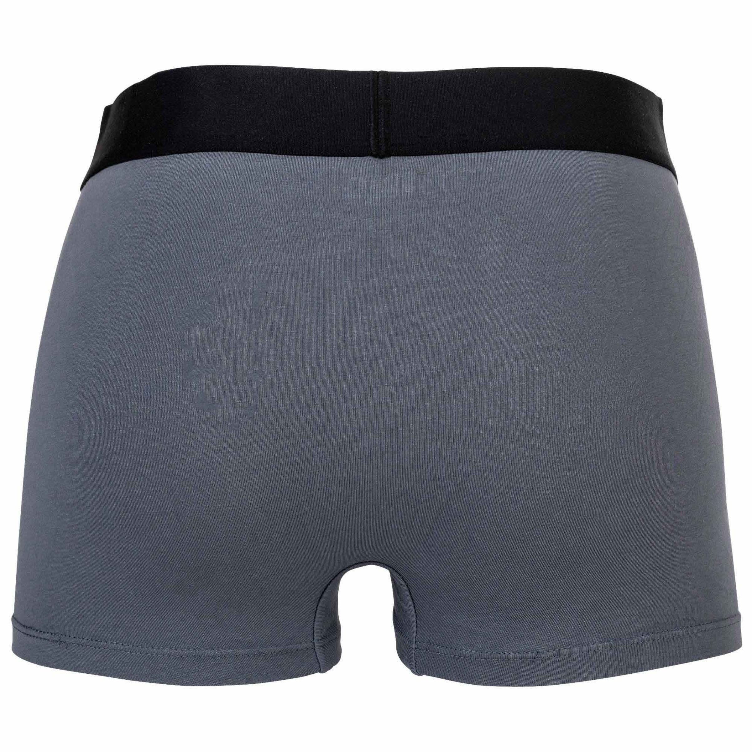 Boxer di DIESEL in grigio