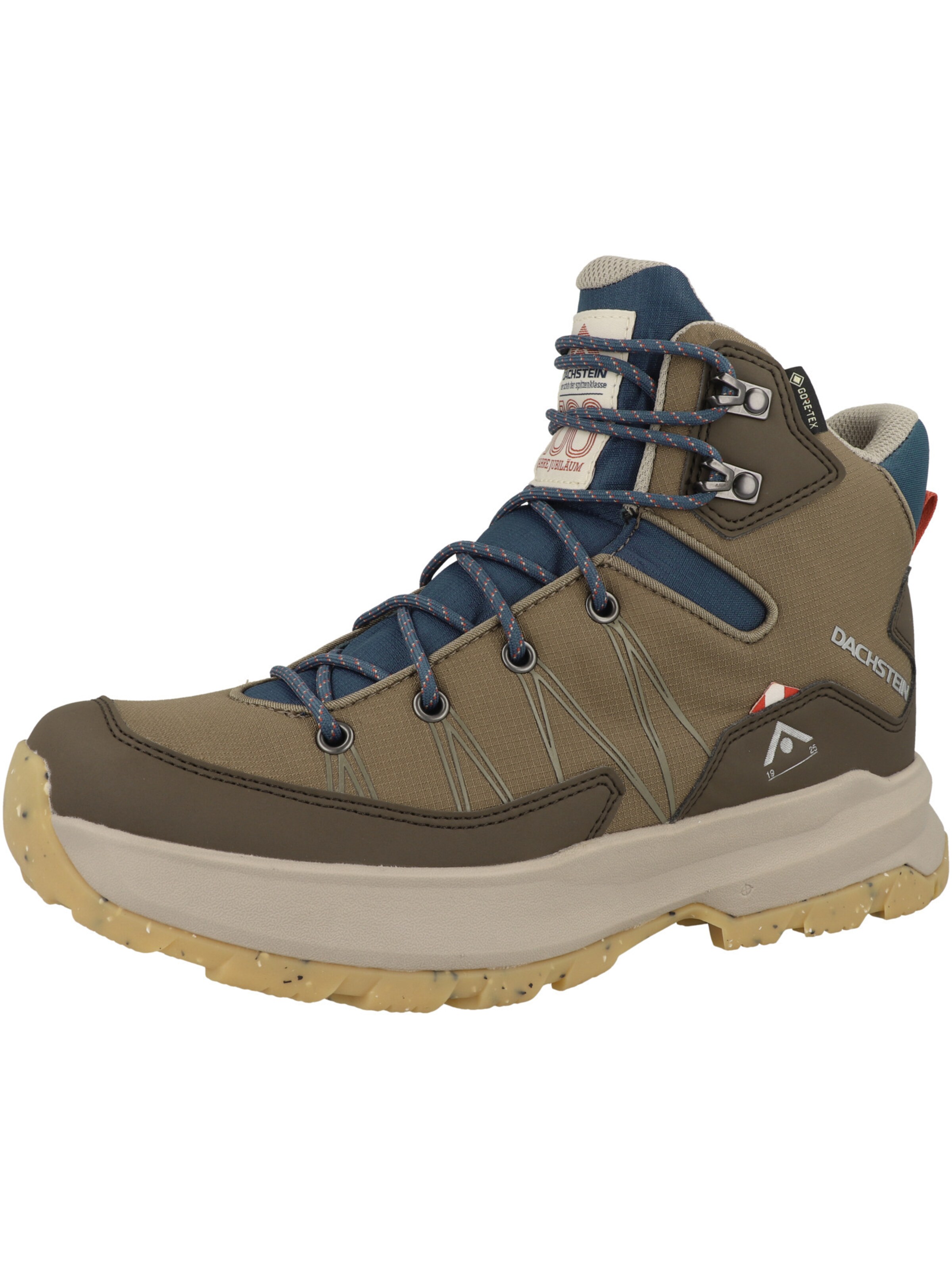 Dachstein - Sapato baixo em verde