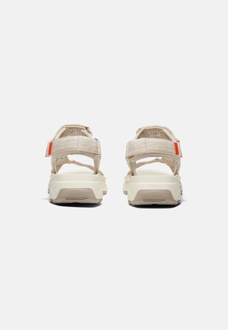 TIMBERLAND - Sandalias con hebilla en blanco