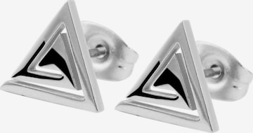 Akzent Earrings 'Dido, langlebig' in Silver: front