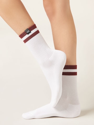 CALZEDONIA Socks in White: front