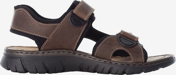 Rieker Hiking Sandals in Brown