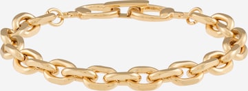 STEVE MADDEN Браслет в Золотой: спереди