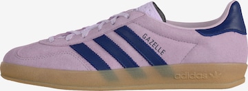 ADIDAS ORIGINALS - Sapatilhas baixas 'GAZELLE' em roxo: frente