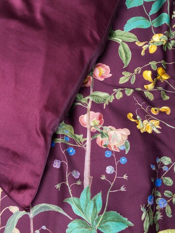 ESSENZA Bettwäsche 'Augustina' in Lila