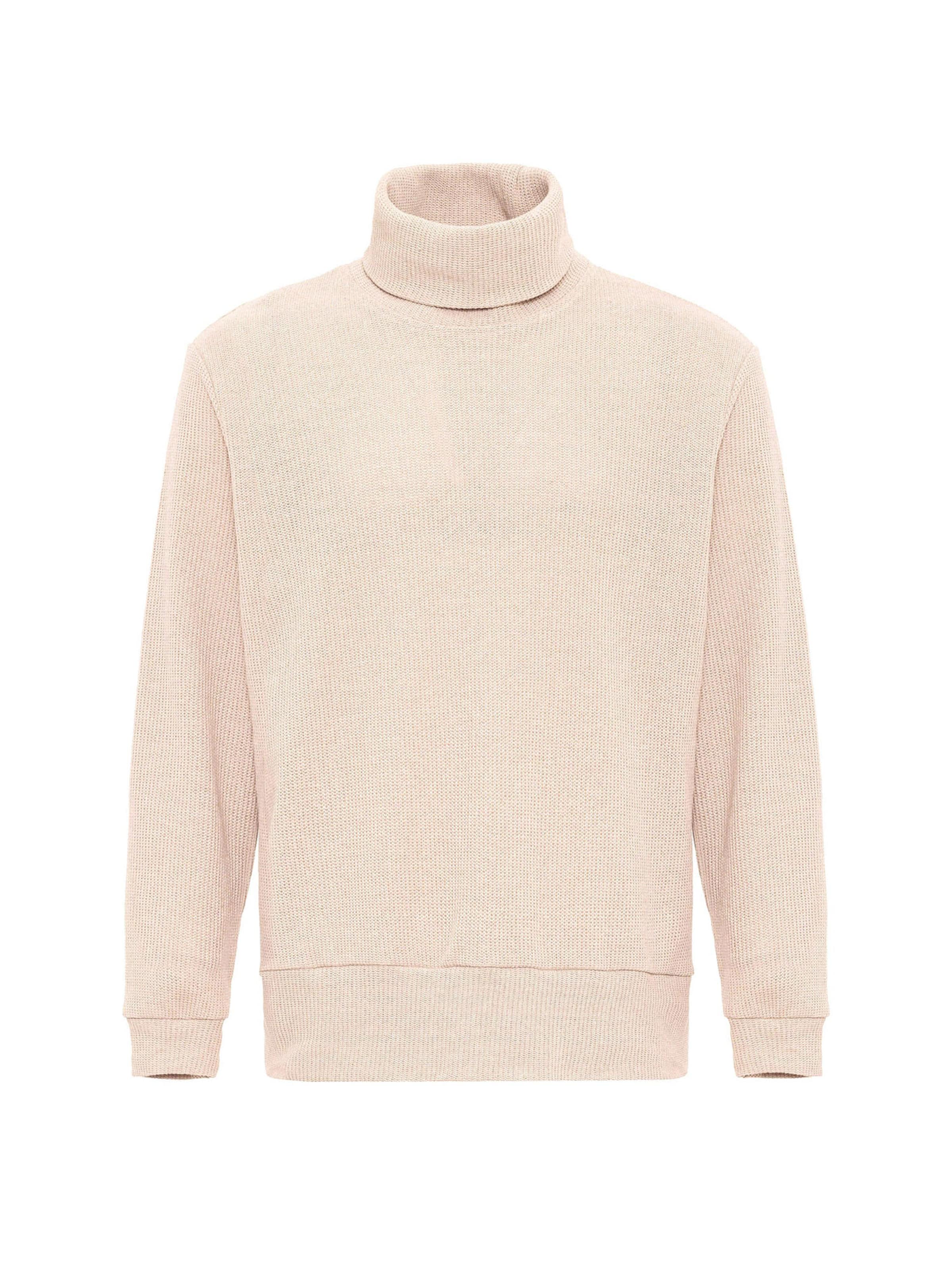 Antioch Pullover in Beige: Vorderseite