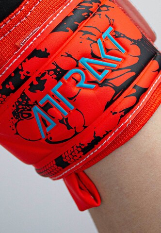 REUSCH Sporthandschoenen 'Attrakt Grip Evolution' in Rood
