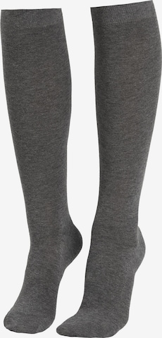 CALZEDONIA Socken in Grau: predná strana