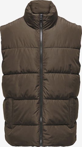 Only & Sons Vest 'Melvin' in Brown: front