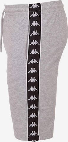 KAPPA Regular Pants in Grey