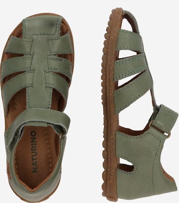 NATURINO Open shoes 'SEE' in Green