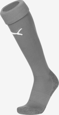 PUMA Soccer Socks 'Team Liga' in Grey: front