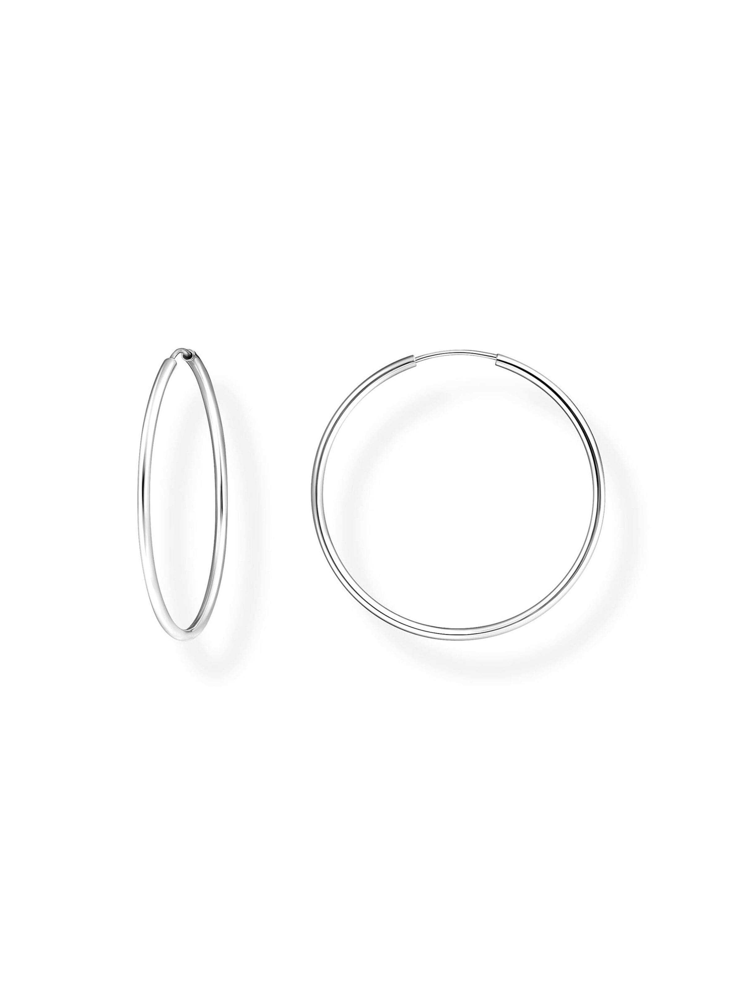 Thomas Sabo Earrings in Silver: front