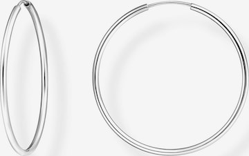 Thomas Sabo Earrings in Silver: front