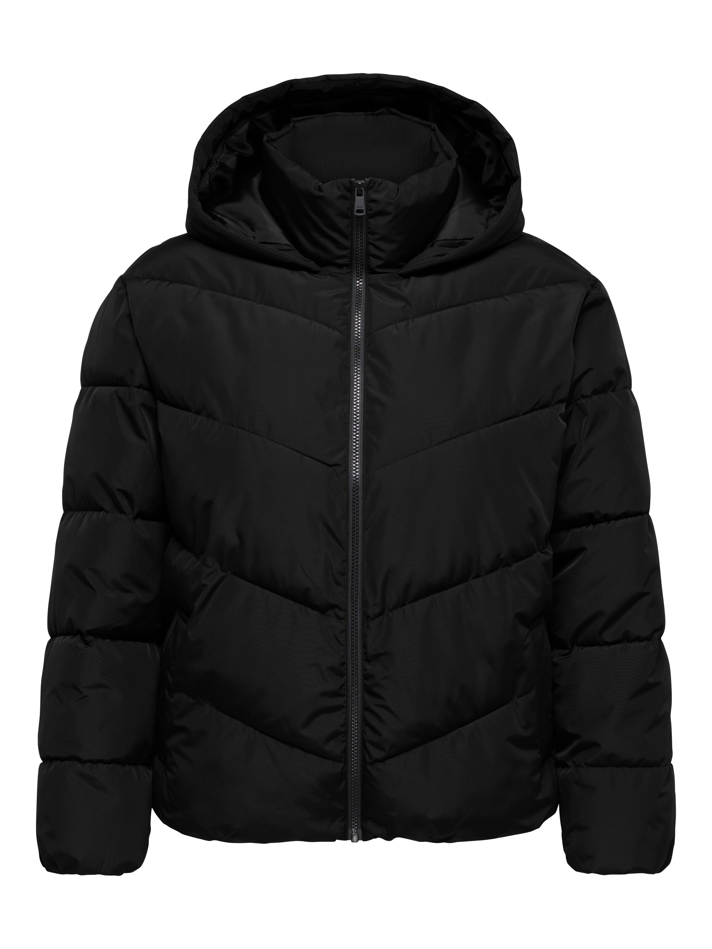 ONLY Carmakoma Between-Season Jacket 'CARClair' in S in Black, Item view