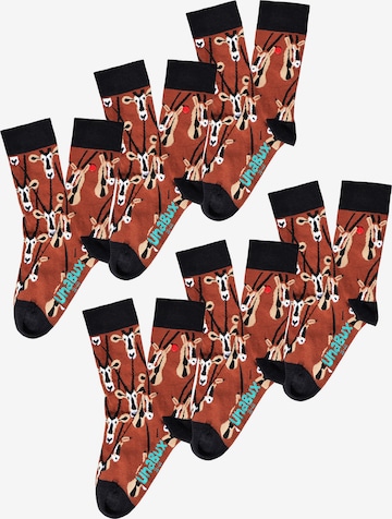 UNABUX Socks ' GRUMBLE IN THE JUNGLE ' in Brown: front