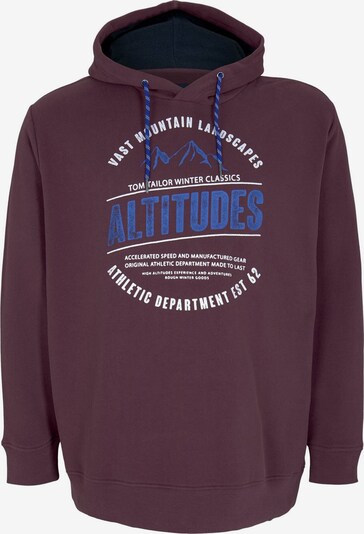 TOM TAILOR Men Plus Sweatshirt in royalblau / beere / weiß, Produktansicht