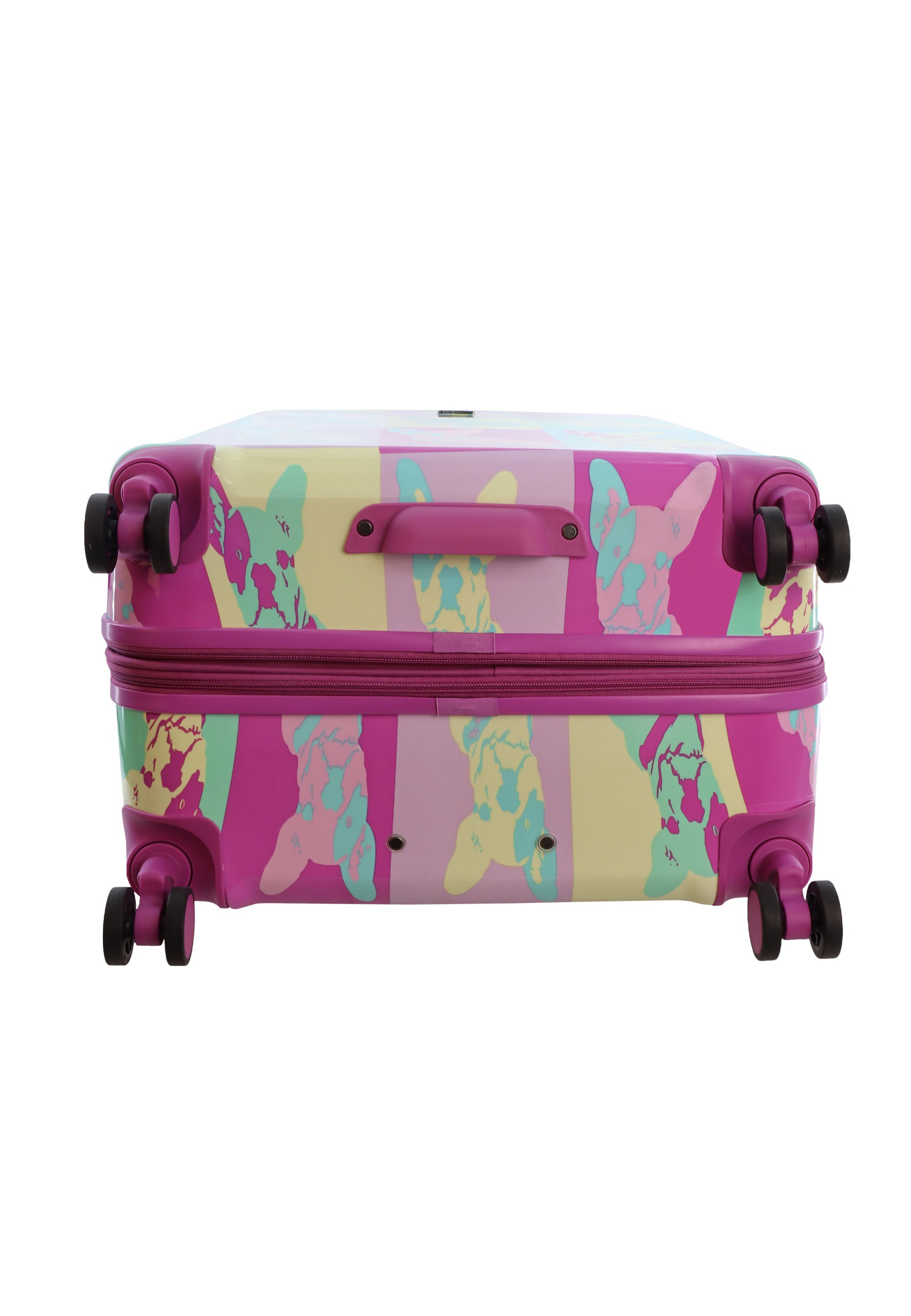 Saxoline Blue Suitcase in Mixed colors