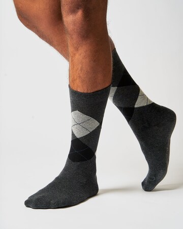 SNOCKS Socks in Mixed colours