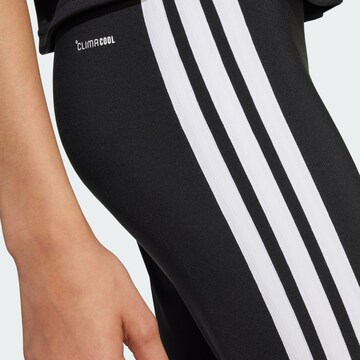 ADIDAS SPORTSWEAR regular Παντελόνι φόρμας 'Train Essentials' σε μαύρο