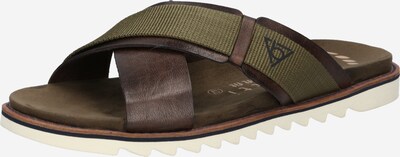 bugatti Plätu 'Limon' tumepruun / khaki, Tootevaade