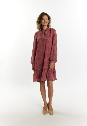 Usha Dress in Red: front