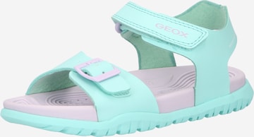 GEOX Sandals 'Fusbetto' in Blue: front