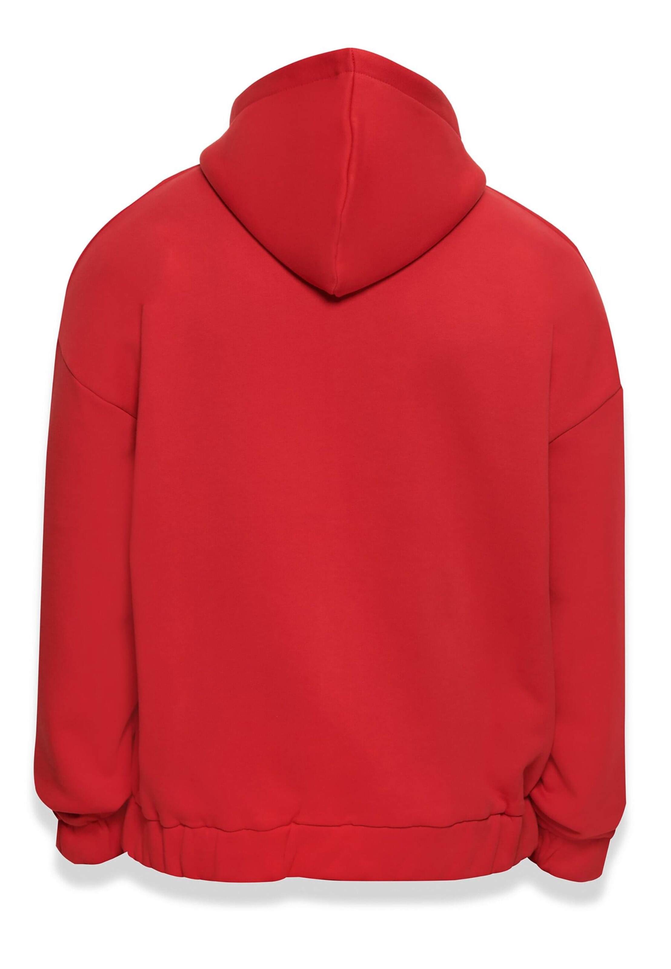 Dropsize Zip-Up Hoodie 'Bazix Republiq' in Red