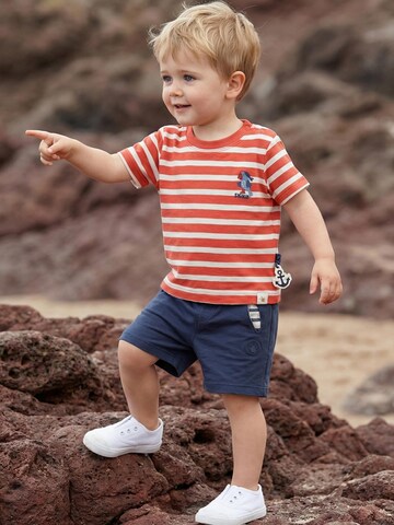SIGIKID Regular Hose 'Bermuda Ahoi Little Pirate'‌‌‌‌‌‌‌‌ in Blau