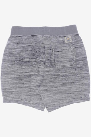 HOLLISTER Shorts in 29-30 in Grey