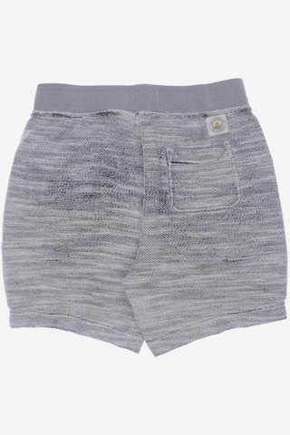 HOLLISTER Shorts 29-30 in Grau