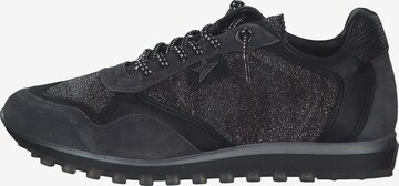 Cetti Sneakers in Black