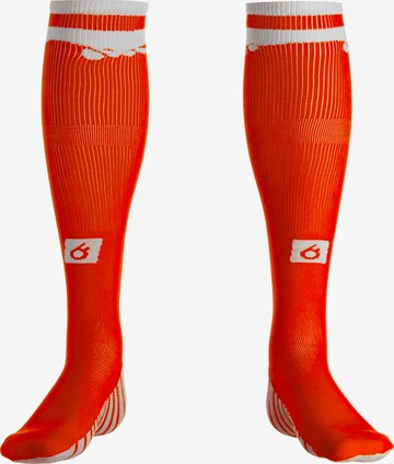 Chaussettes de sport 'Tahi' OUTFITTER en orange : devant