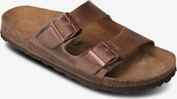 Zoccoletto 'Bavaria' di Neu-B in marrone: frontale