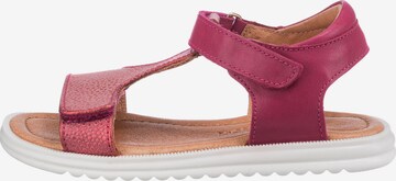 BISGAARD Sandals in Pink: front