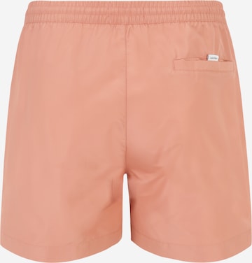 Calvin Klein Swimwear Плавательные шорты в Ярко-розовый
