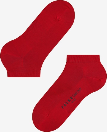 FALKE Socken 'Cool 24/7' in Rot: Vorderseite