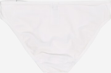 Skiny Underpants 'Rio' in White