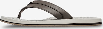 BILLABONG T-Bar Sandals 'All Day' in Grey: front