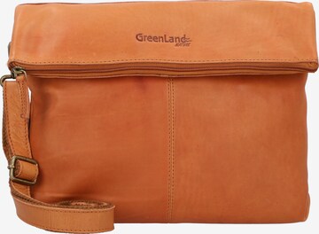 Borsa a tracolla di Greenland Nature in marrone: frontale