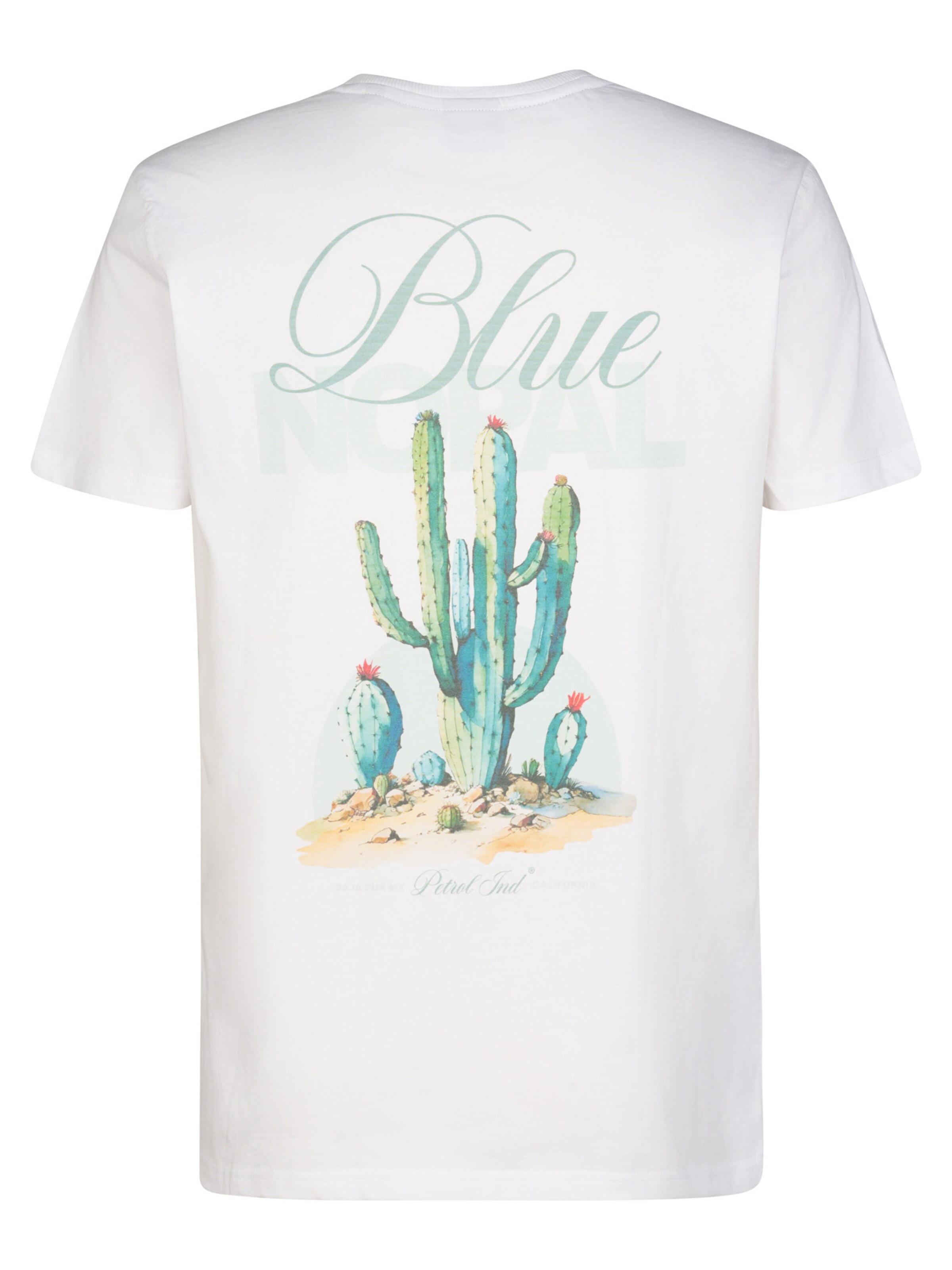 T-Shirt 'Volcán' Petrol Industries en blanc