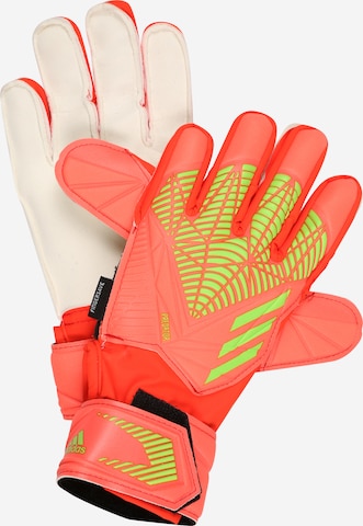 ADIDAS PERFORMANCE Rękawiczki sportowe 'Predator Edge' w kolorze pomarańczowy: przód